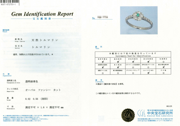 Pt950 Paraiba Tourmaline R