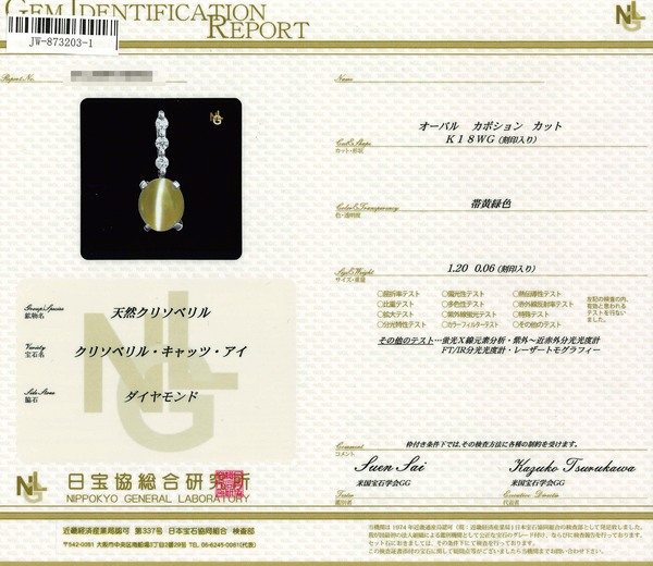 K18WG Cat's Eye PN