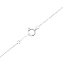 K18WG Diamond PN