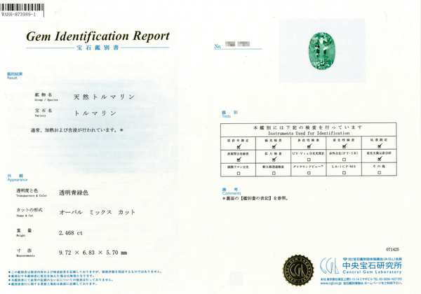 Pt900 Paraiba Tourmaline R