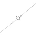Pt900 Diamond PN