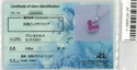 Pt900 Pink Sapphire PN