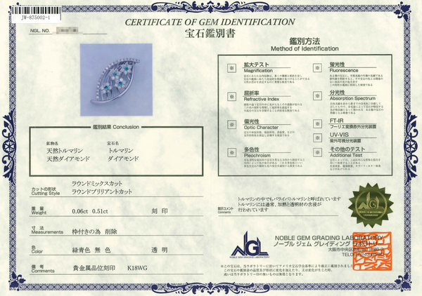 K18WG Paraiba Tourmaline PN