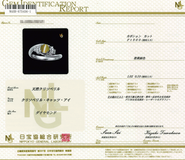 Pt900 Cat's Eye R