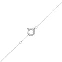 Pt900 Diamond PN
