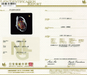 Pt900 Boulder Opal R
