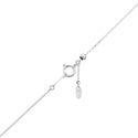 Pt900 Diamond PN