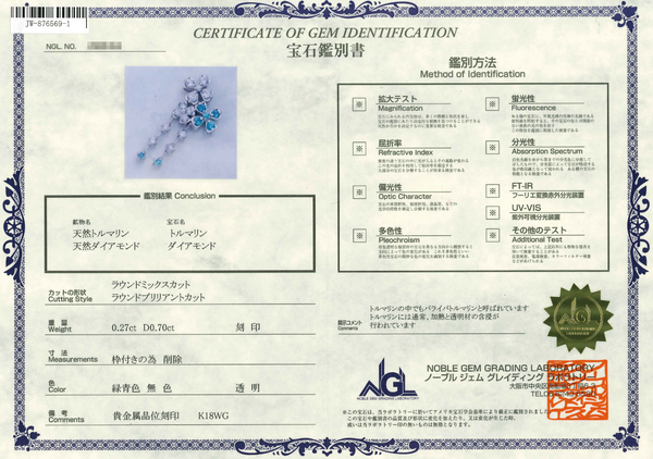 K18WG Paraiba Tourmaline PN