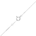 K18WG Diamond PN