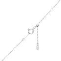 K18Pt900 Diamond PN