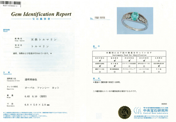 Pt900 Paraiba Tourmaline R