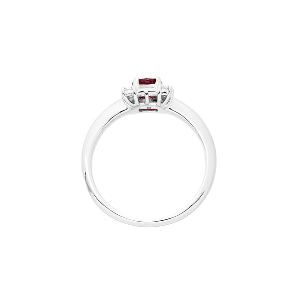 Pt900 Ruby R