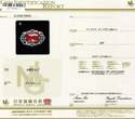 Pt900 Corallium rubrum PN