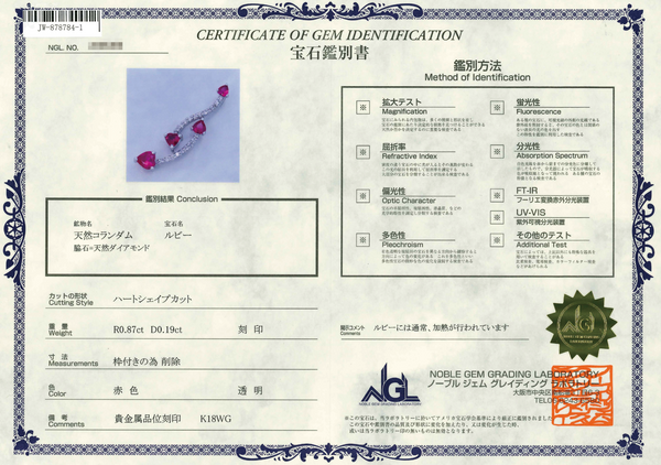 K18WG Ruby PN
