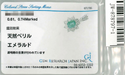 Pt900 Emerald PN
