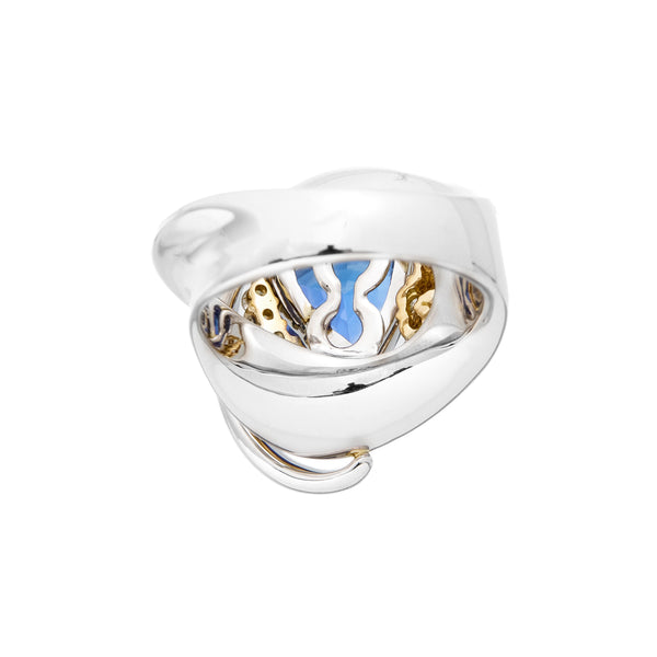 Pt900K18 Tanzanite R