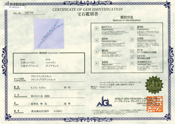 K18WG Paraiba Tourmaline N