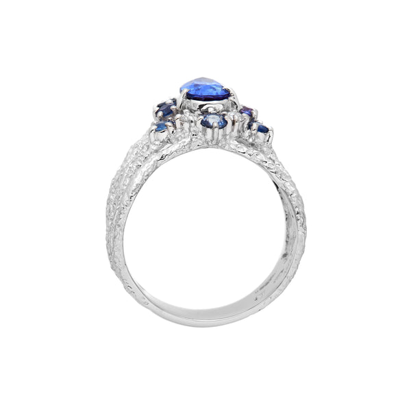 Pt900 Tanzanite R