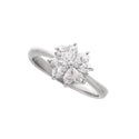 Pt900 Diamond R