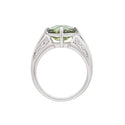 Pt900 Tourmaline R