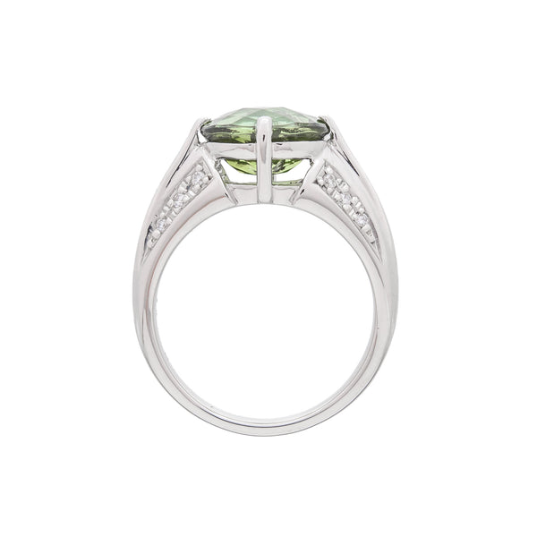 Pt900 Tourmaline R