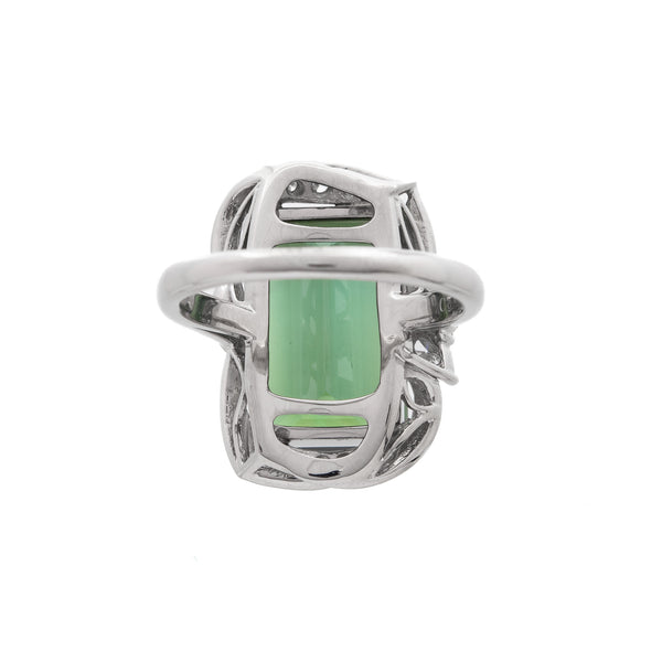 Pt900 Tourmaline R