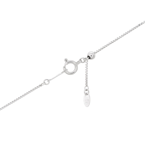 K18WG Tanzanite PN