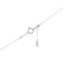 Pt900 Diamond PN