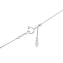 Pt900 Diamond PN