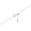 Pt900 Diamond PN
