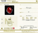 Pt900 Corallium rubrum R