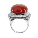Pt900 Corallium rubrum R