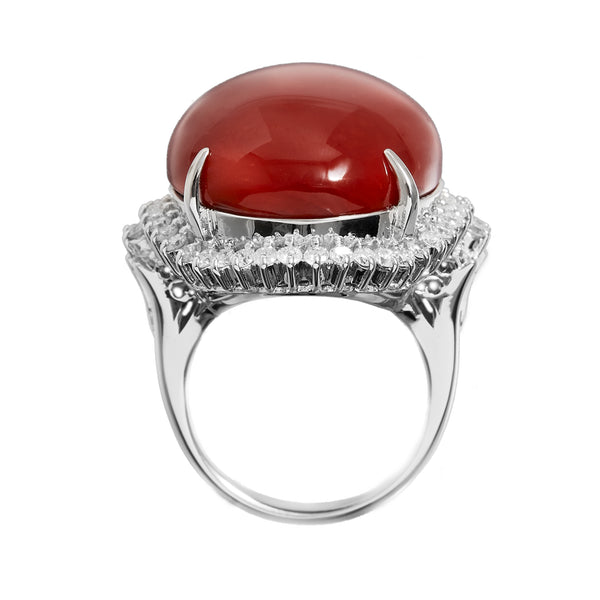 Pt900 Corallium rubrum R